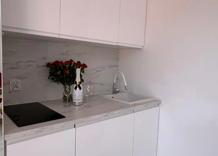 ホームステイ Muszelka *