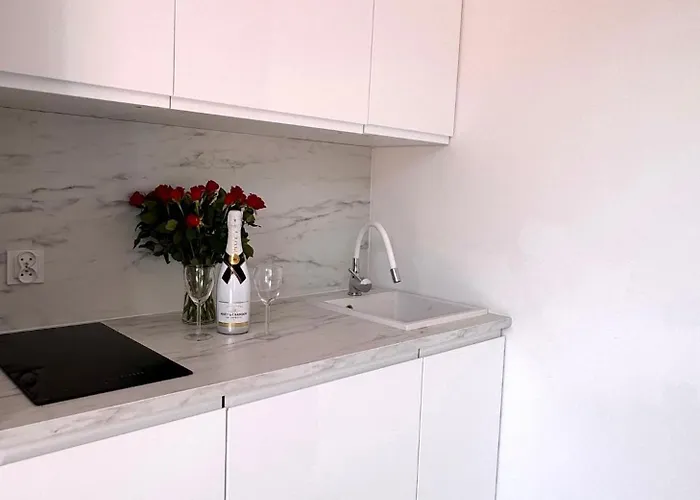 ホームステイ Muszelka Wisełka