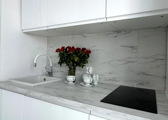 ホームステイ Muszelka