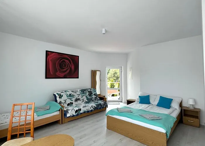 ホームステイ Muszelka Wisełka